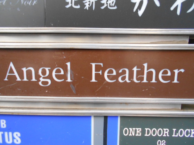 Angel Feather  エンジェル フェザー