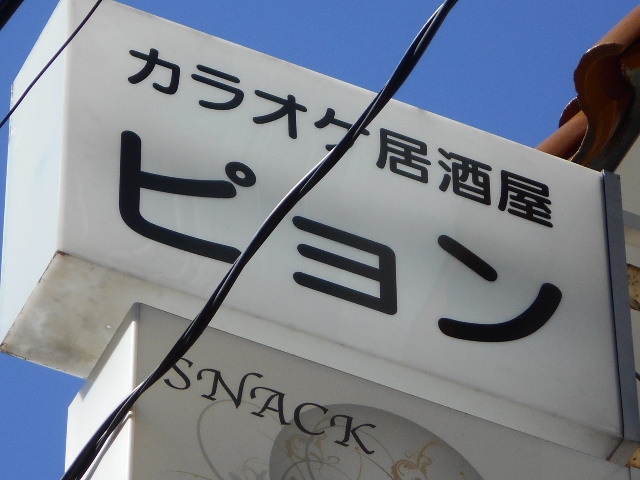 平塚 カラオケ居酒屋 ピョン