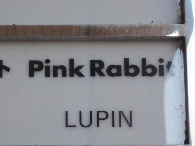 Pink Rabbit