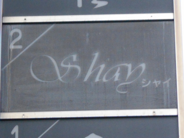Shay シャイ