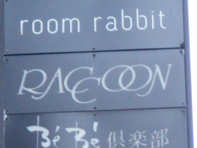 ラクーン RACCOON