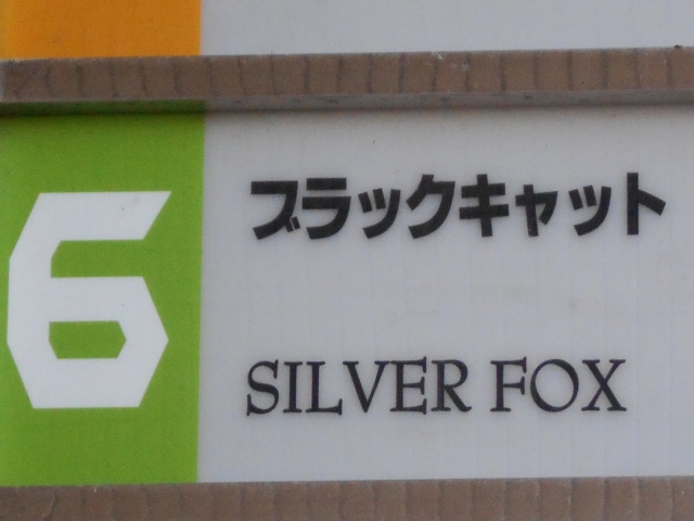 旭川 スナック ブラックキャット