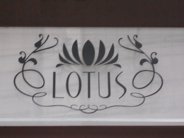 LOTUS   ロータス