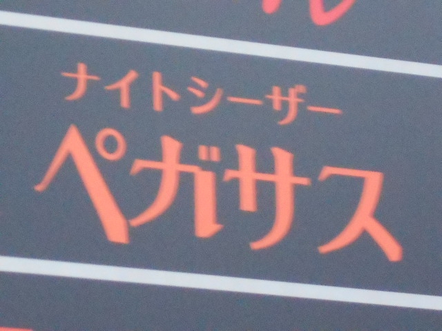 ナイトシーザーペガサスＮＫ
