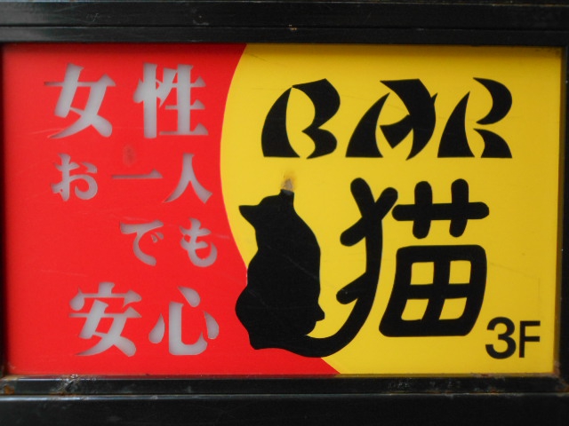 Bar 猫
