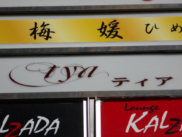 静岡 スナック  tya   ティア