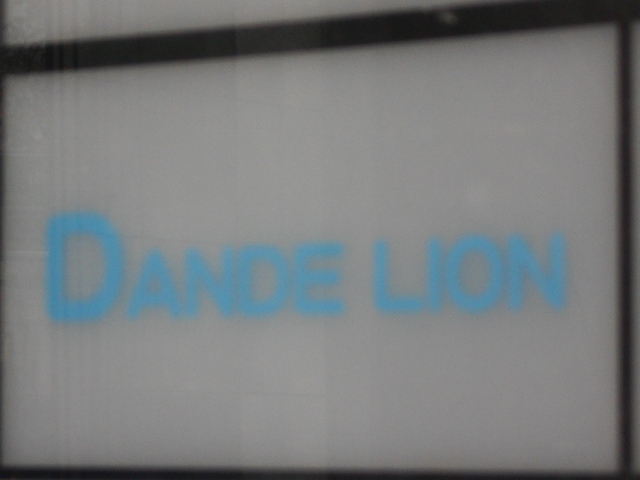 DANDE LION ダンディライオン
