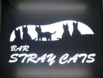 STRAY CATS