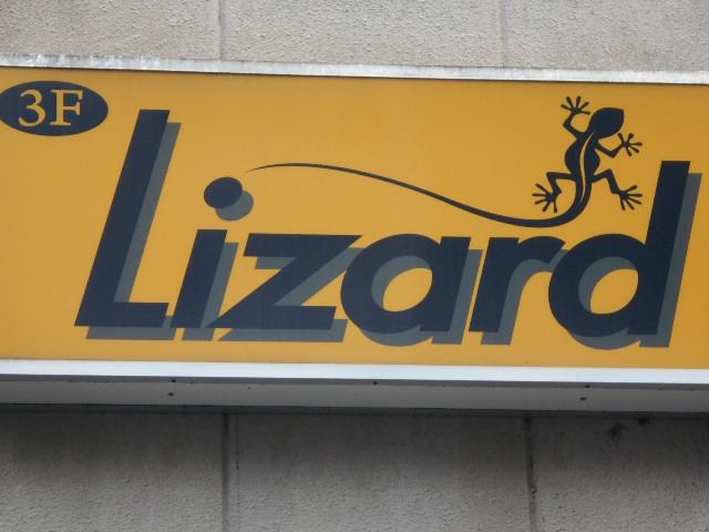 Lizard