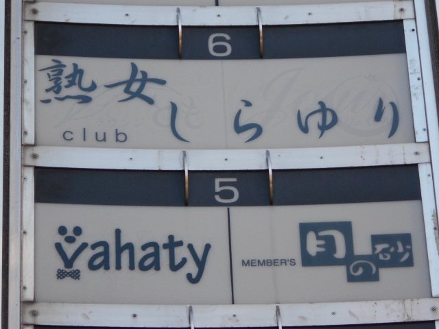 月の砂
