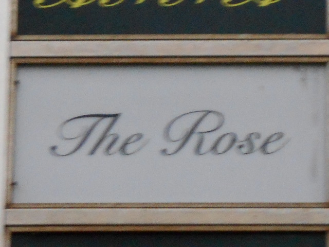 The Rose
