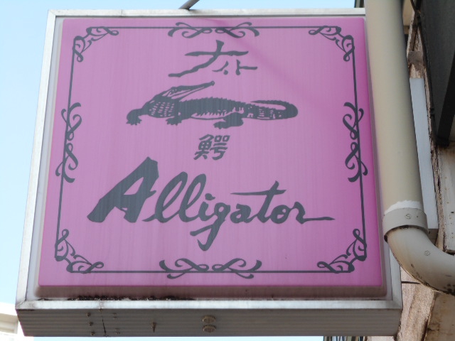 ナイトアリゲーター  Night alligator