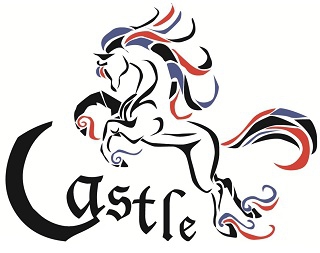 Castle(キャッスル)