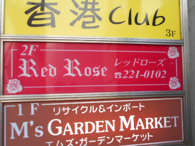 千葉 レッドローズ Red Rose