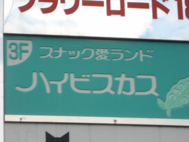 和歌山 スナック ハイビスカス