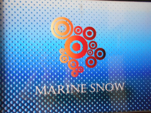 MARINE SNOW マリンスノー
