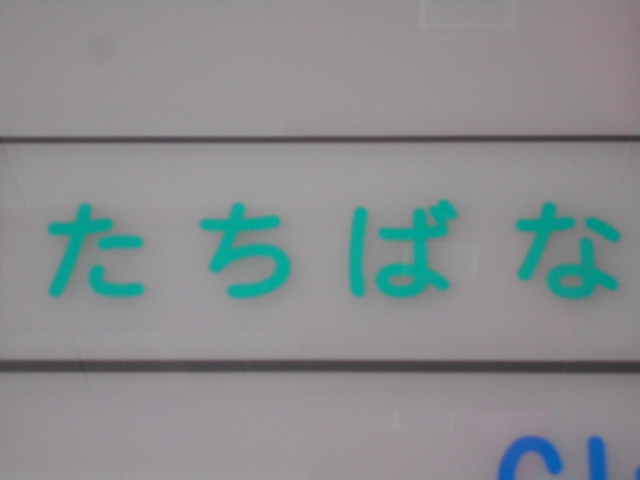 たちばな