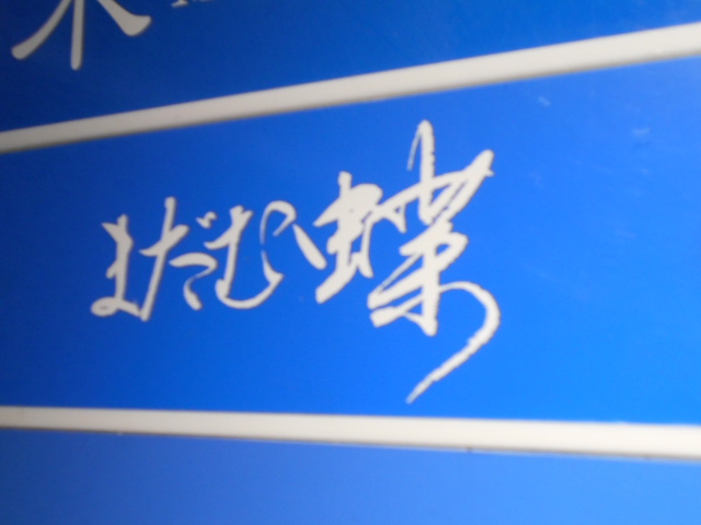 銀座 まだむ 蝶