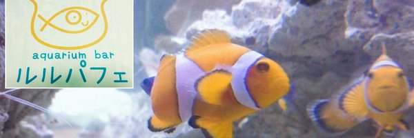 アクアリウムバー ルルパフェ
