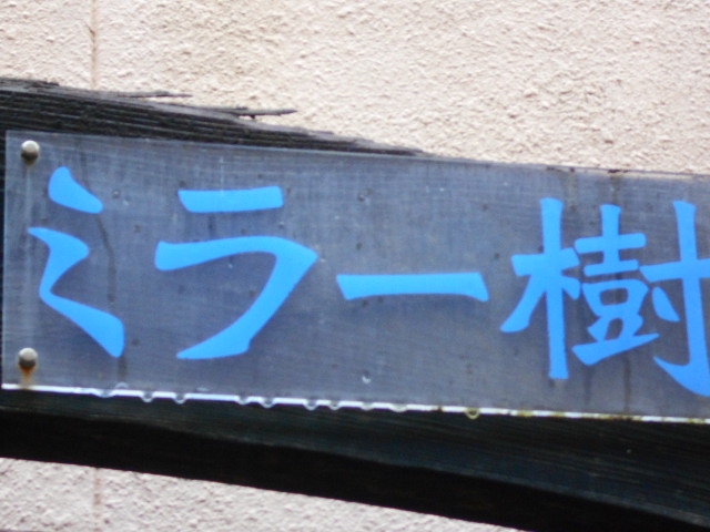 別府 スナック ミラー樹