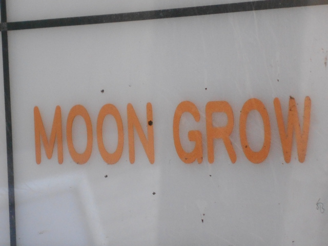 MOON GROW