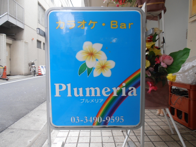五反田 カラオケ・Barプルメリア