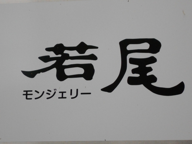 松山 若尾