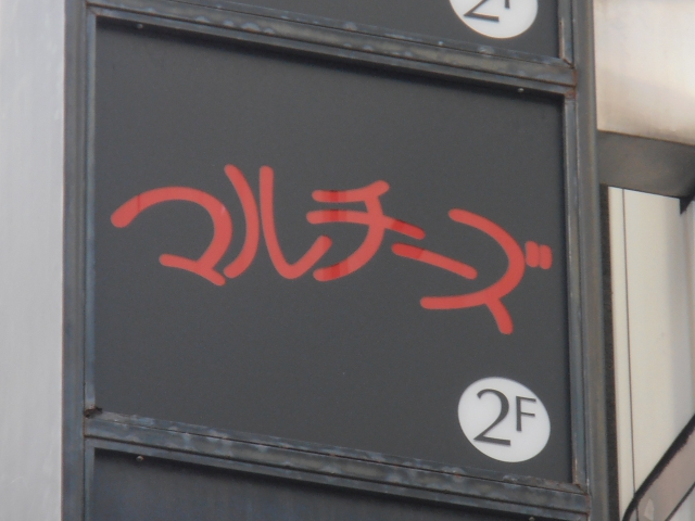 銀座 マルチーズ