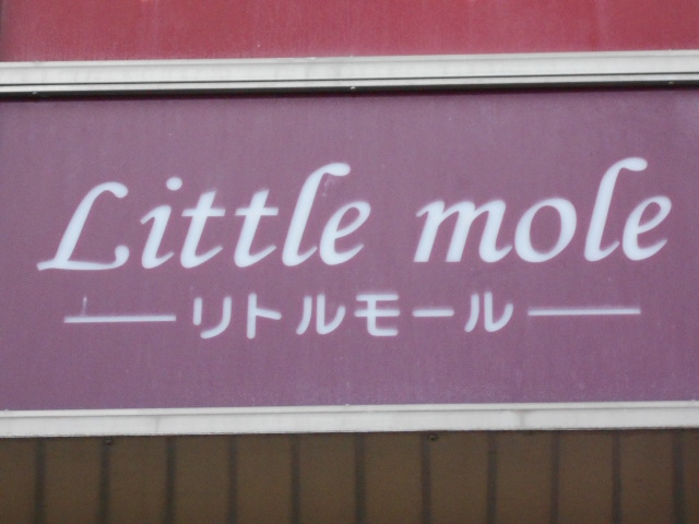 Little Mole