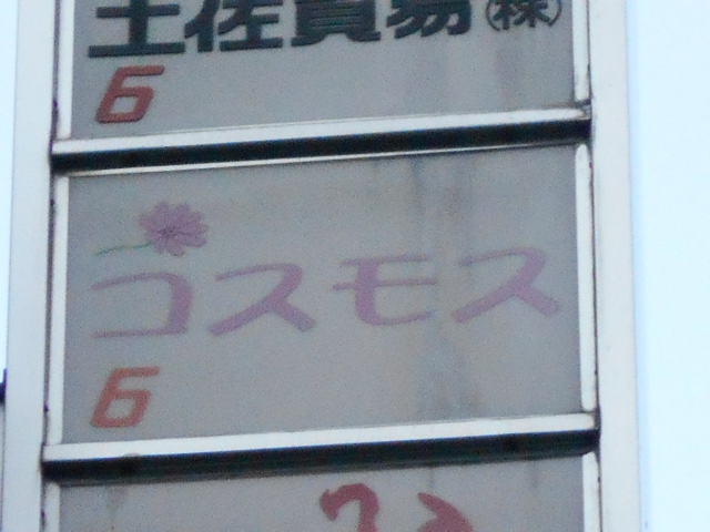 コスモス