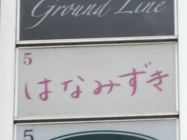 はなみずき