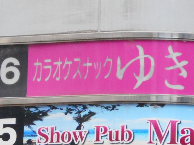 福島 カラオケ スナック ゆき