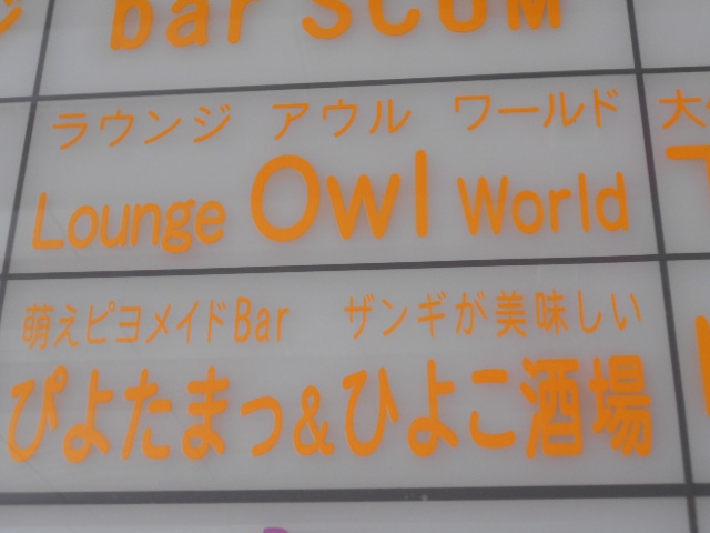 Lounge Owl World