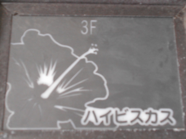 小倉 スナック ハイビスカス