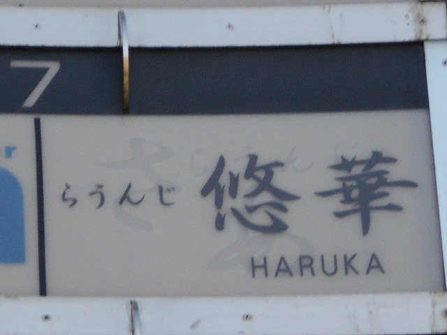 らうんじ悠華 -HARUKA-