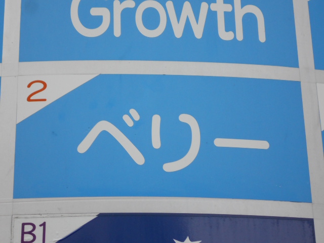 ベリー