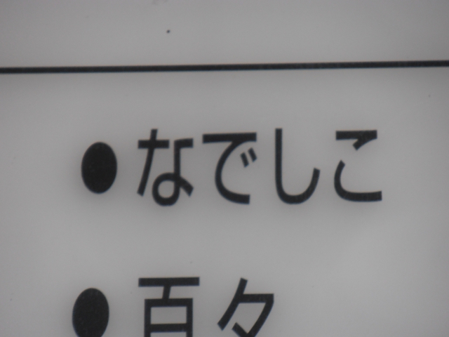 スナック なでしこ