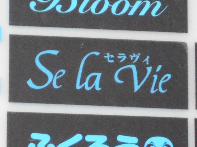 八戸 スナック  セラヴィ