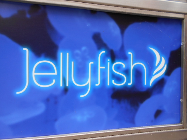 Jelly fish