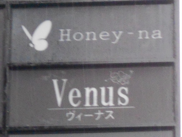Venus  ヴィーナス