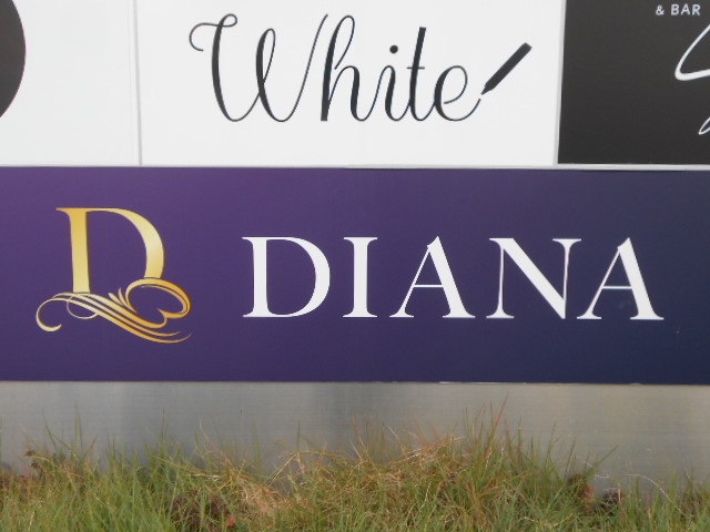 和歌山 スナック DIANA