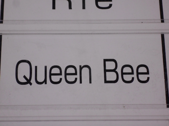 Queen Bee
