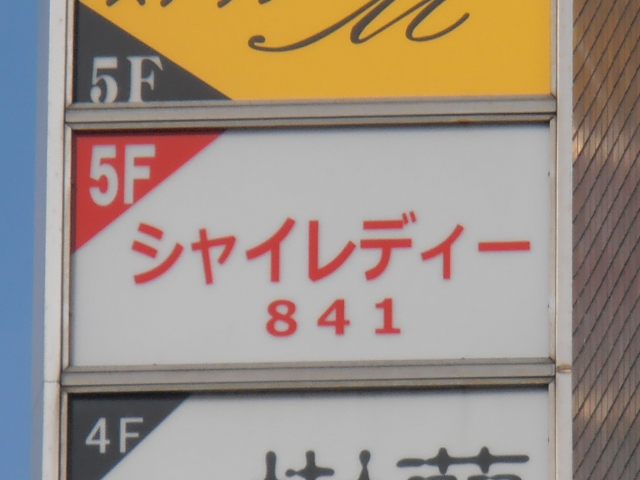 シャイレディー８４１