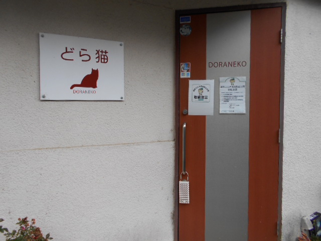 どら猫