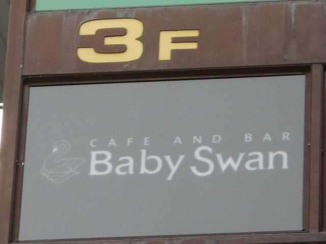 Baby Swan