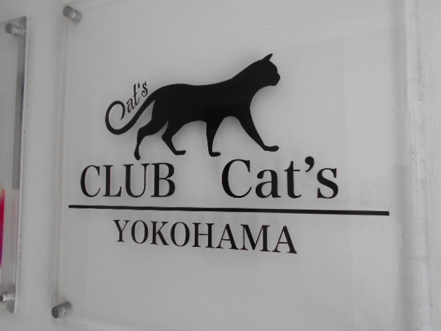 CLUB Cat's  キャッツ
