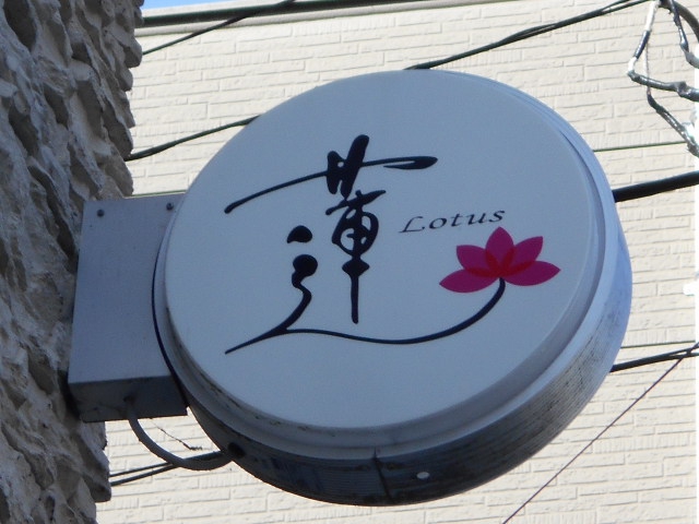 蓮 Lotus  れんロータス