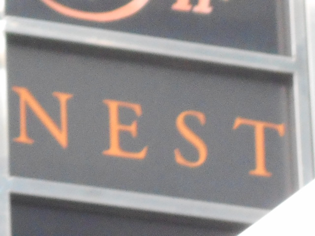 NEST ネスト