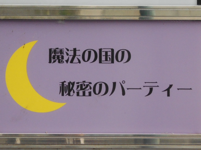 魔法の国の秘密のパーティー