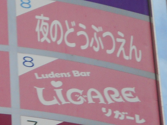 夜のどうぶつえん